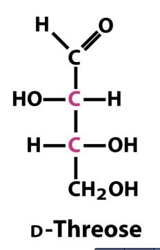 Biochem Exam Carbohydrates Flashcards Quizlet