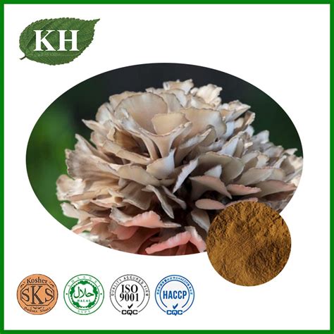 Grifola Frondosa Extract Maitake Mushroom Extract Polysaccharides