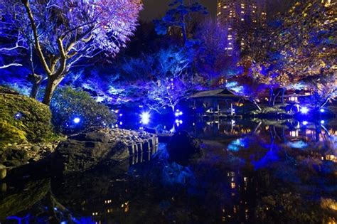 Tokyo Blue Garden Winter Festival 2023 Events In Tokyo Japan Travel