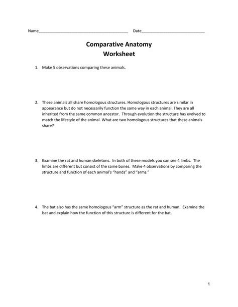 Pdf Comparative Anatomy Worksheet Stem Activities And €¦ · · 2018