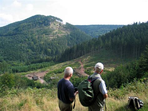 Siegfried Harnisch De Wanderungen Wanderplan 2007 R Ckblick Ber