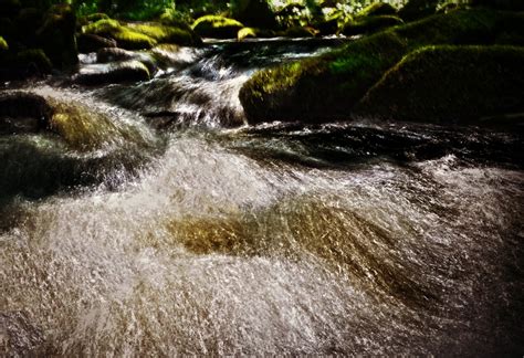 Kostenlose foto Wasser Natur Rock Fluss Strom schnell Gewässer