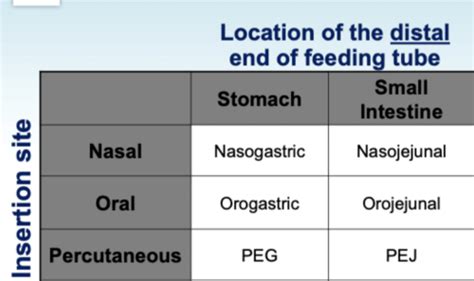 Enteral Nutrition En Flashcards Quizlet