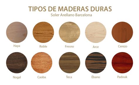 Qué tipos de madera dura hay MADERIA es