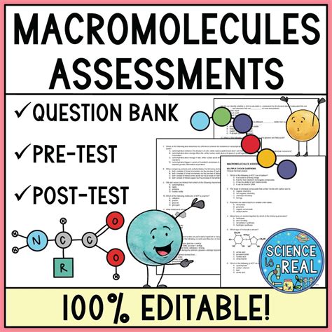 Engaging Macromolecules Lessons for High School Biology - Science is ... 