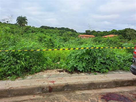 Jovem Achado Morto Marcas De Tiros Em Matagal Na Zona Leste De