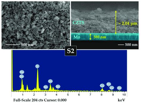 Surface And Cross Section Images And Energy Dispersive X Ray