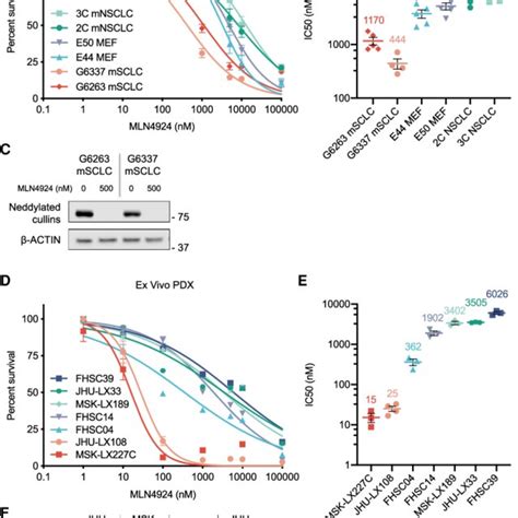 Mln4924 Treatment Of Pdx Models In Vivo Ab Tumor Growth Inhibition