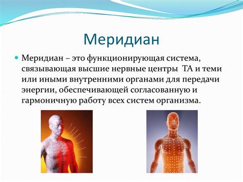 13 и 14 меридианы в рефлексотерапии - презентация онлайн