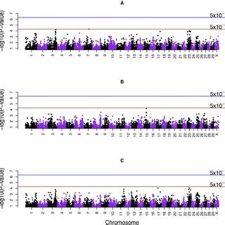 Manhattan Plots Displaying The Results Of Single Marker Genome Wide