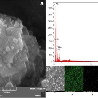 Fe Sem Image A The Corresponding Edx Spectra B And The Elemental