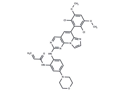 Fgfr In Targetmol