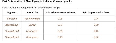 Part B Separation Of Plant Pigments By Paper Chromatography Data Table