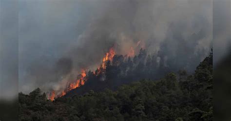 M Xico Vigila Incendio En Sierra De Santiago Nuevo Le N Ya Que Podr A