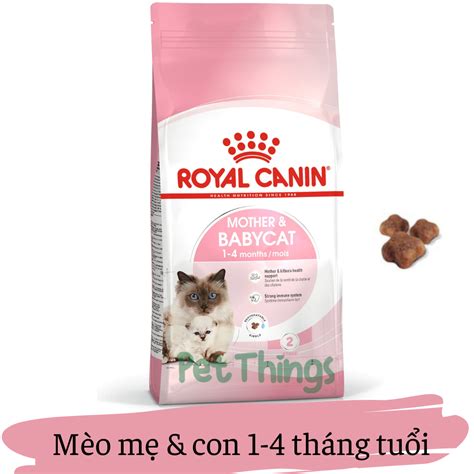 Royal Canin Mother Babycat H T Kh Cho M O M M O Con Th Ng