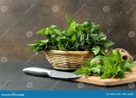 Menta Hojas Y Ramas De La Menta Salvaje Verde Fresca En Una Tabla De