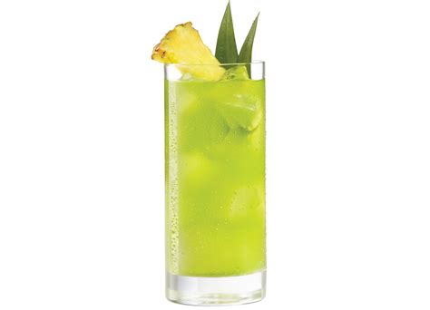 Tropical Cocktail Recipe | POPSUGAR Latina