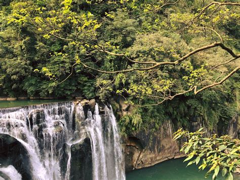 Kostenlose foto Baum Wasser Wasservorräte Pflanzengemeinschaft