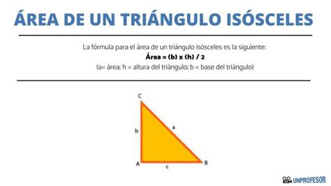 Tipos De Tri Ngulos Y Sus Ngulos Con Ejemplos Y V Deos