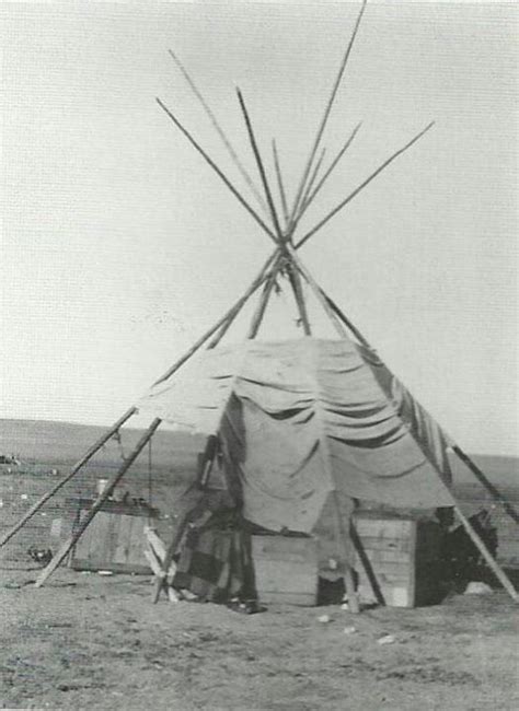 Cree Tipi Native American Peoples Native American Nations Native