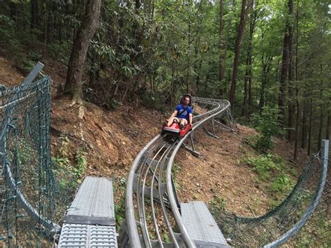 Take A Ride Through Tennessee's Fall Foliage On The Gatlinburg Mountain Coaster