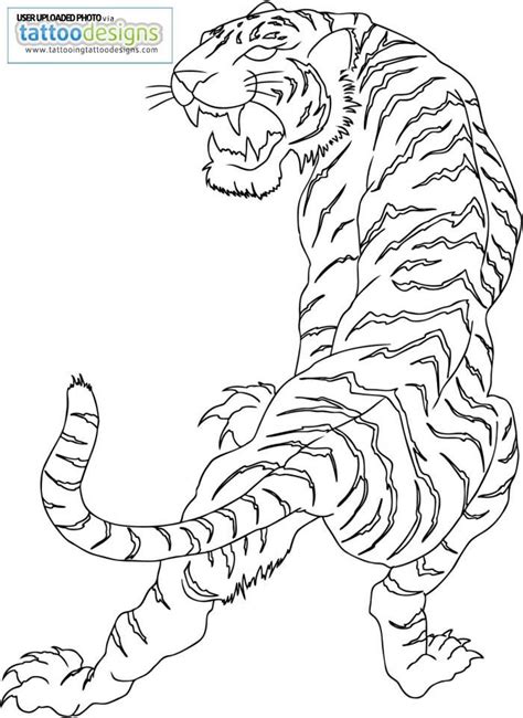 Tiger Outline Drawing - Easy and Striking Designs