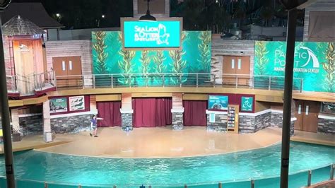 Sea Lion And Otter Spotlight Show Seaworld Orlando Youtube