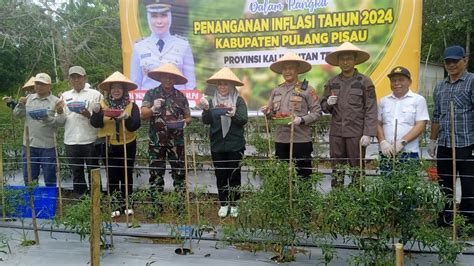 Pj Bupati Hadiri Panen Cabai Dan Gerakan Menanam Bawang Merah