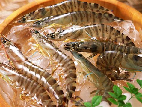 Image - Black Tiger Prawn Jumbo Size.jpg | Healthy Recipes Wiki ...