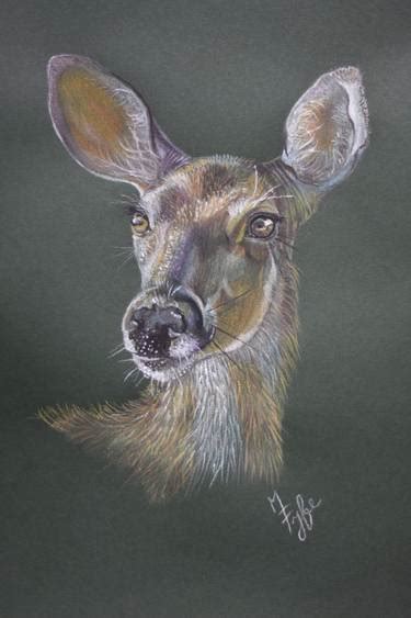 Deer Eyes Drawing at PaintingValley.com | Explore collection of Deer ...