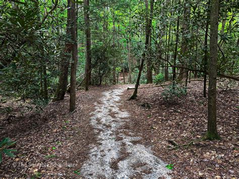 Stone Mountain State Park - The Sociable Adventurer