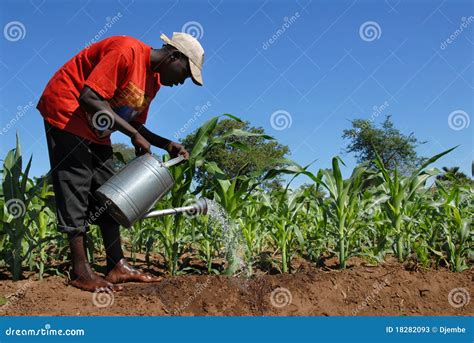 African Farmer Editorial Stock Photo - Image: 18282093