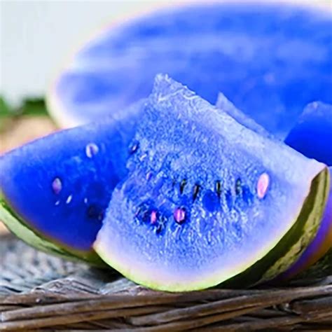 Amazon Qauzuy Garden Rare Blue Watermelon Seeds For Planting