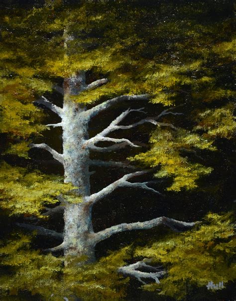 Forest Light The Jeffrey Hull Gallery Original Paintings