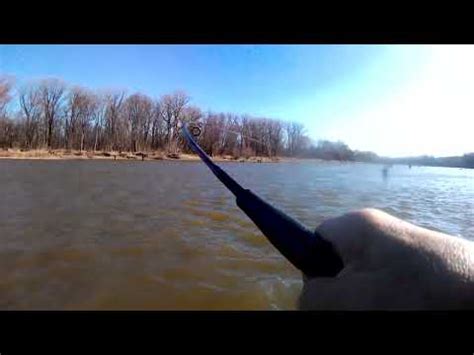 On The Maumee River Walleye Run Board With A Belly Hook And