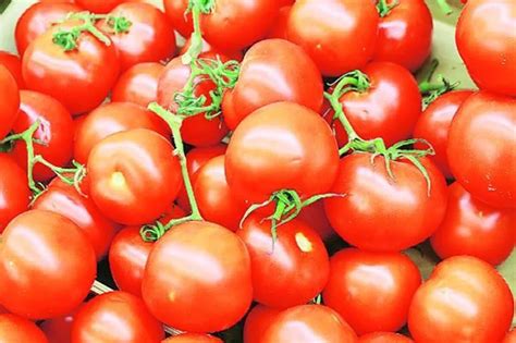 Tomato Price Rise आसमान छूती कीमतों ने बिगाड़ा टमाटर का स्वाद एक