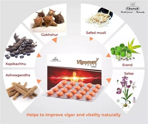 Charak Vigomax Forte Sex Enhancement Ayurvedic 20tablets For Men Sex