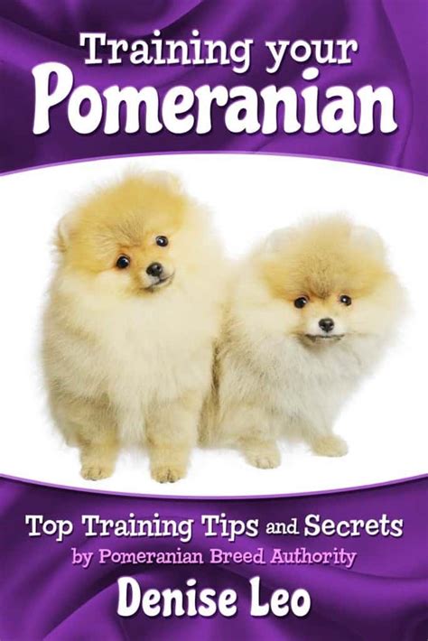 Training your Pomeranian | Pomeranian Dog Expert Information and Resource Site