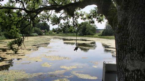 Gemeinde Münsing kauft Degerndorfer Weiher