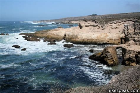 Bluff Trail in Montaña de Oro State Park San luis obispo county