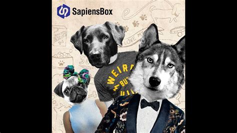 Razas De Perros SapiensBox YouTube