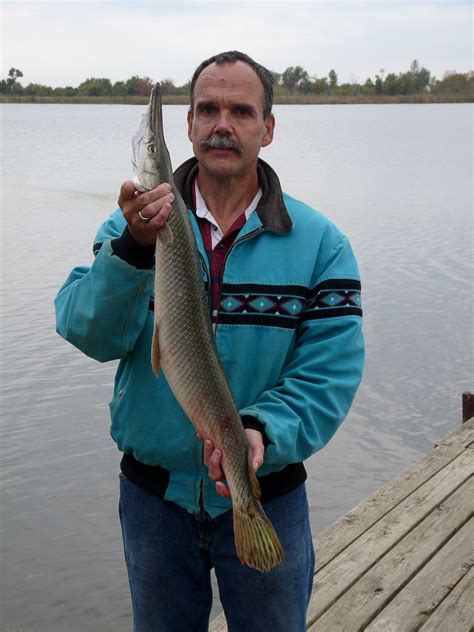 Shortnose Gar May Earn St Joe Angler World Record Missouri