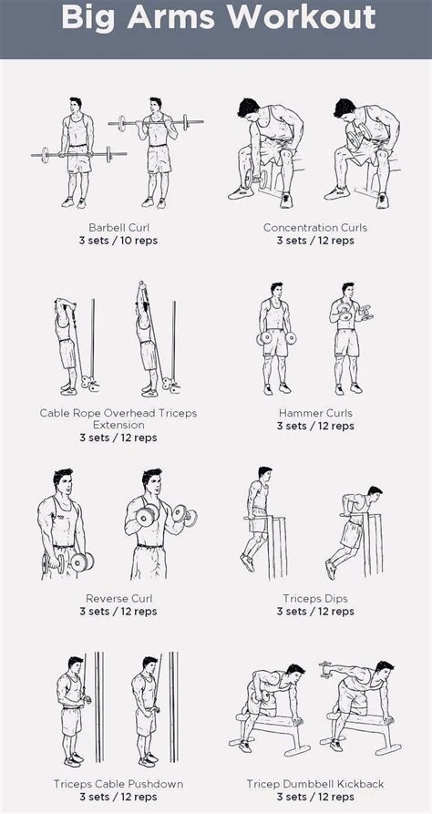 Arm And Chest Workout With Weights - Complete ABS Workout