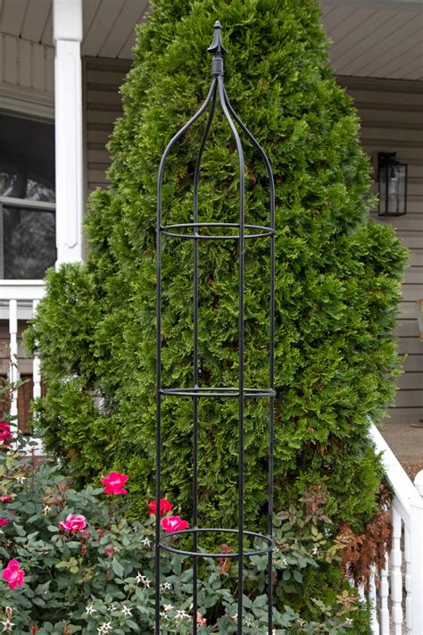 Round Obelisk Garden Trellis Wrought Iron Black Metal Etsy