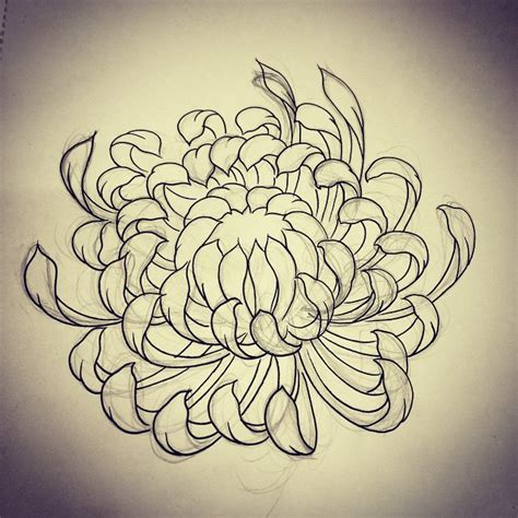 Chrysanthemum Drawing at GetDrawings | Free download