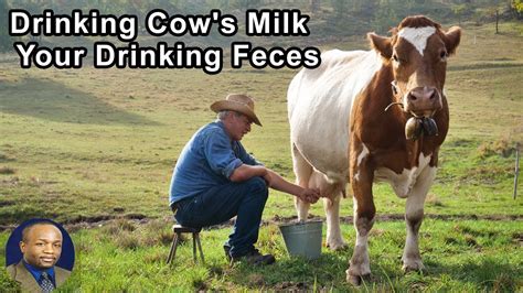 Anytime People Are Drinking Cows Milk Theyre Also Getting A Dose Of