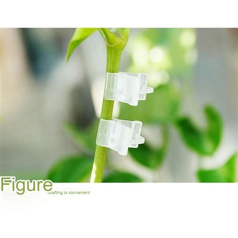 20 pièces Clips de greffage de jardinage clips de greffage de plante