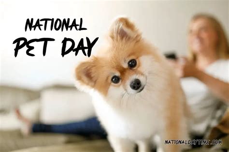 National Pet Day 2025 Best 110 Wishes Quotes Messages Captions