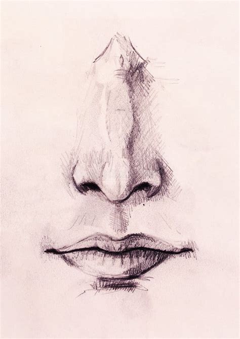 Artistic Sketch of Face Parts, Nose and Mouth, on White Paper ...