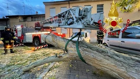 Maltempo Vento Forte Nel Milanese Alberi Caduti E Tetti Divelti La